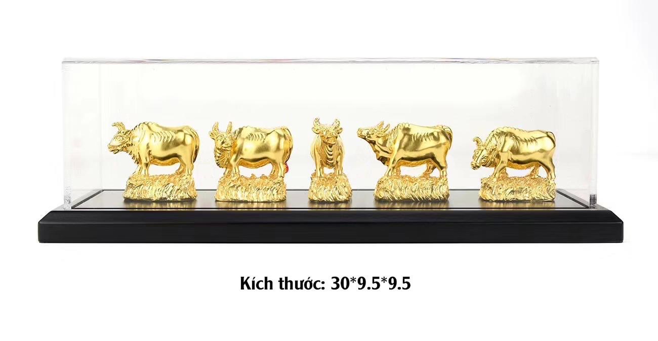 Bộ tương 5 Trâu dát vàng 24k