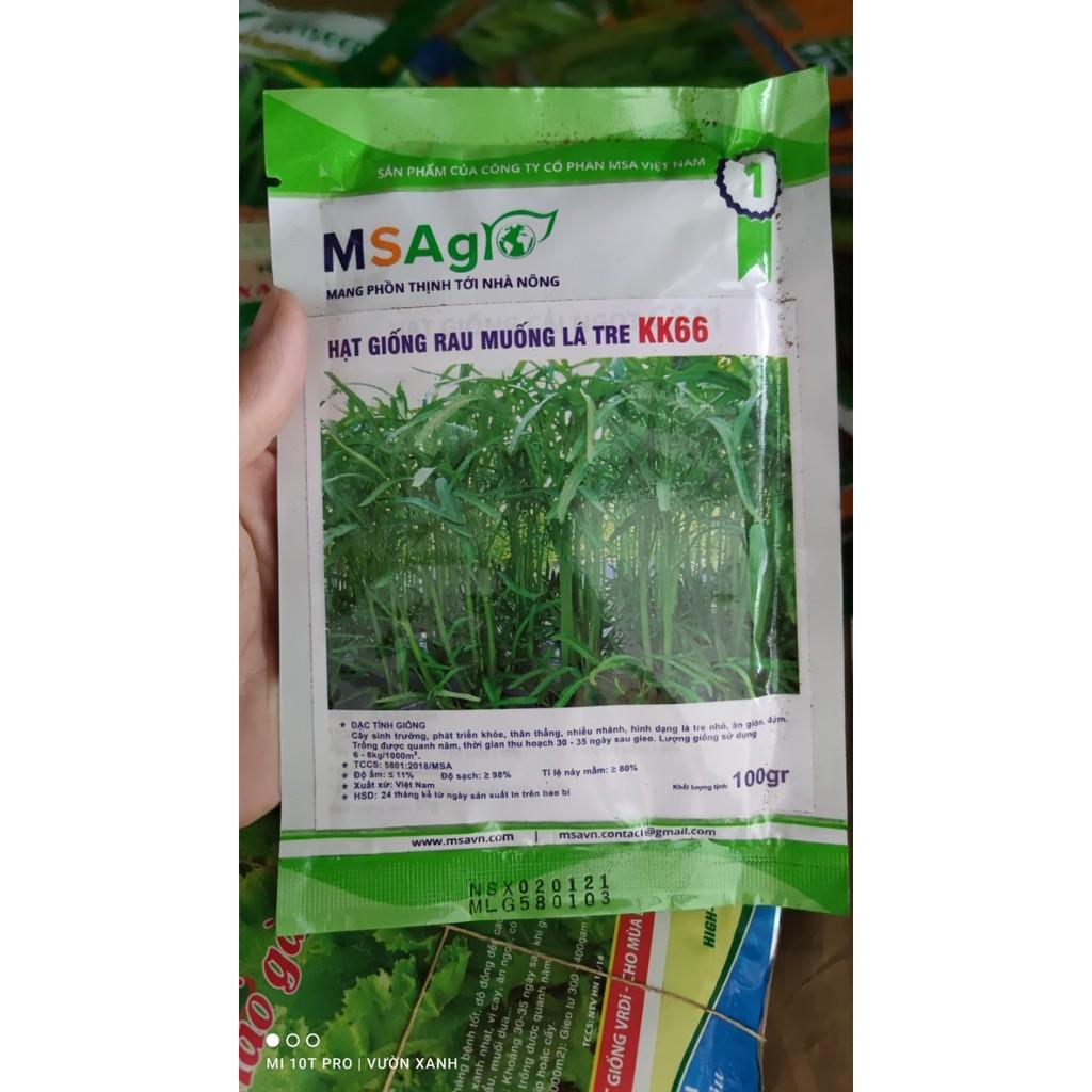 Hạt giống rau muống lá tre cao sản