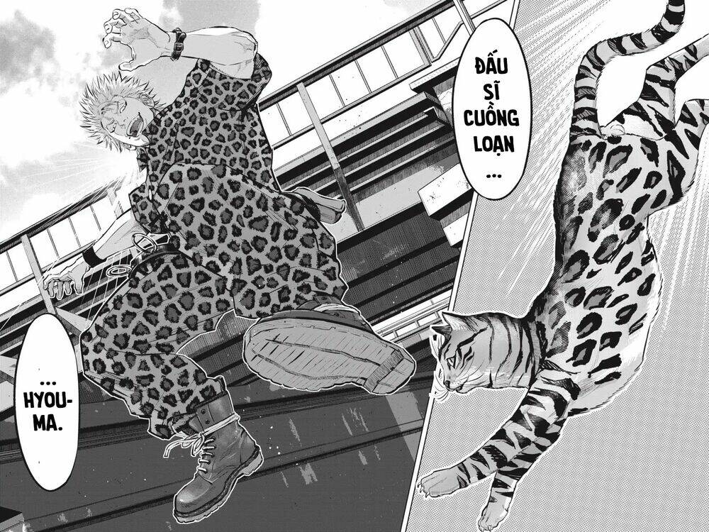 nyankees chapter 11 25