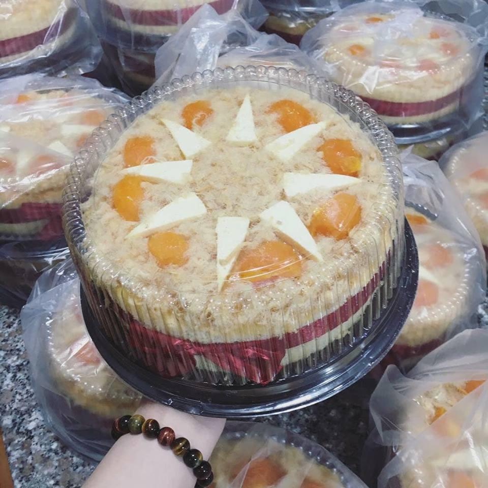 50c Hộp nhựa A024 đựng bánh bông lan trứng muối 20cm - Hộp đựng rau câu 3D 20cm - Hộp đựng bánh bao đào tiên