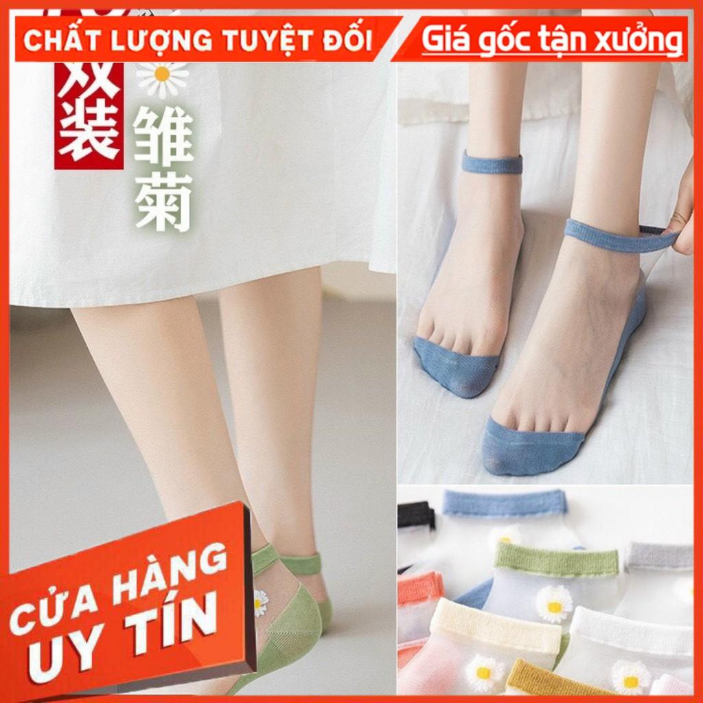 Tất Pha Lưới Thêu Hoa Cúc Siêu Xinh Combo Túi 10 Đôi
