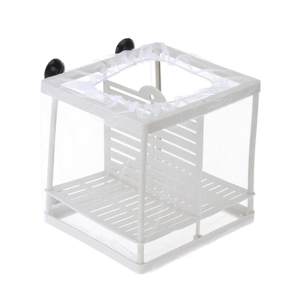 Máy ấp trứng cá, thích hợp nuôi cá con