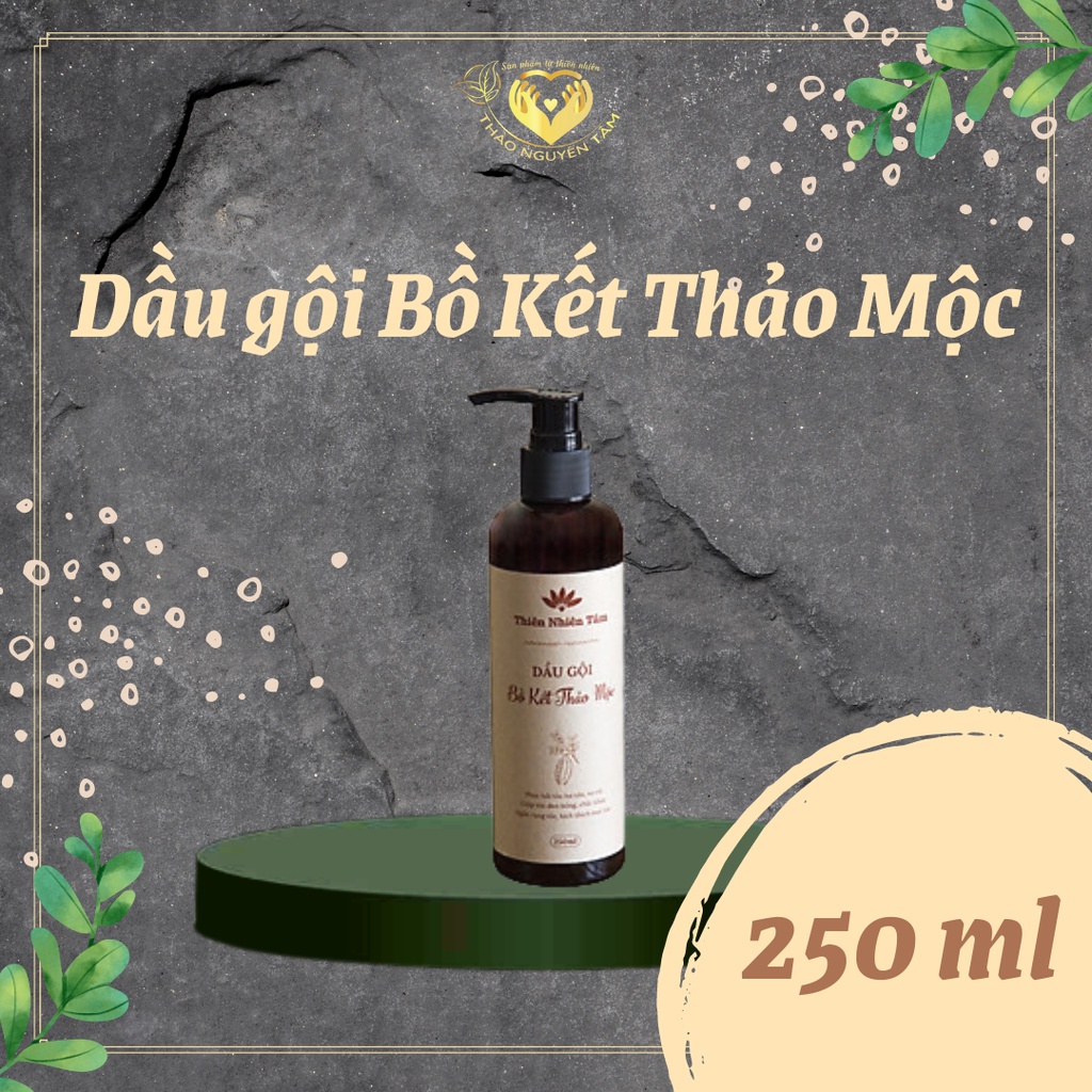 Dầu Gội Bồ Kết Thảo Mộc Thiên Nhiên Tâm 250ml