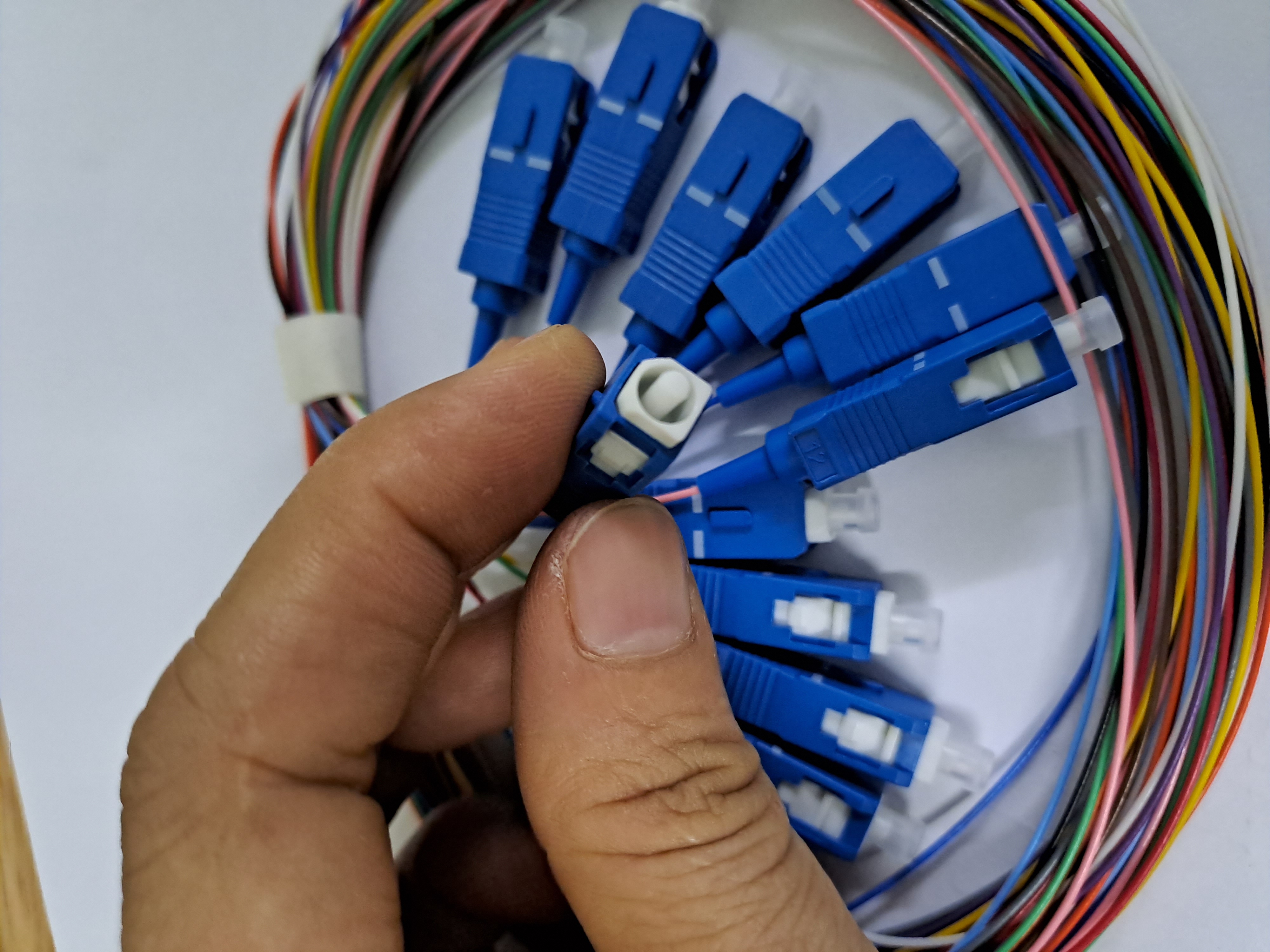 12 pigtail SC/UPC, 12 màu giá chưa vat