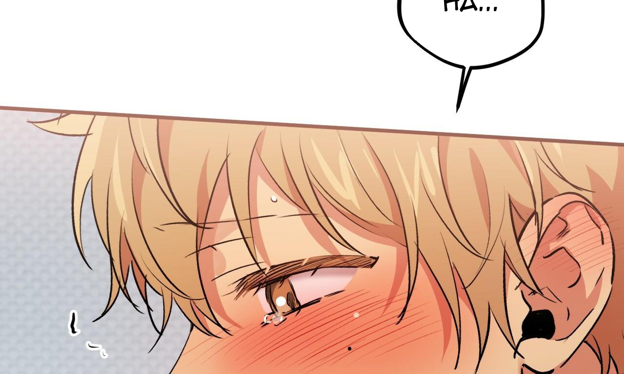 đàn thỏ của habibi chapter 43 178