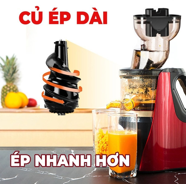 Máy Ép Chậm Cỡ Lớn RH-312 Ép Rau Củ Hoa Quả 95% Lượng Nước - Hàng Nội Địa