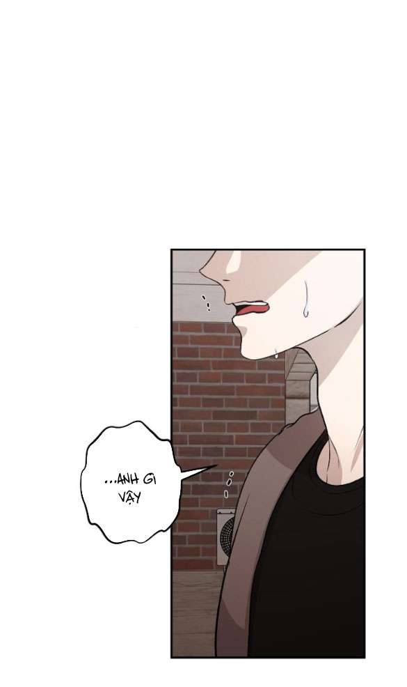 Tự Do Trong Mơ chapter 73.1 46