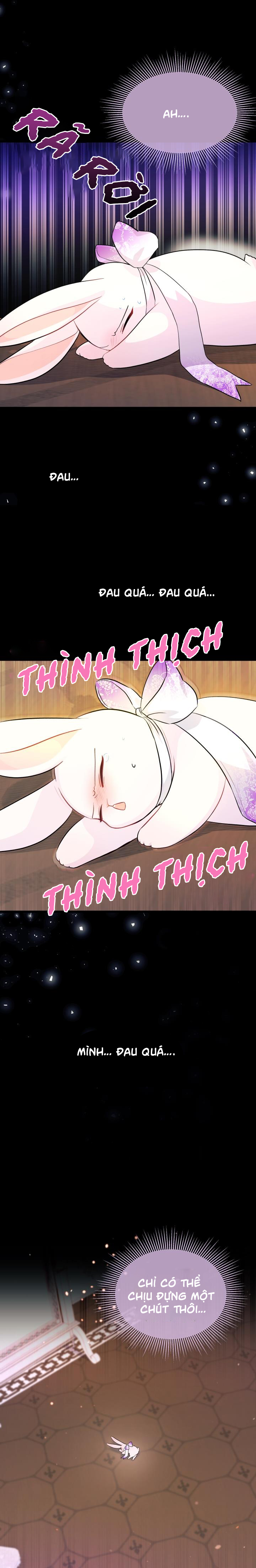 mối liên kết giữa báo đen và bé thỏ chapter 19 5