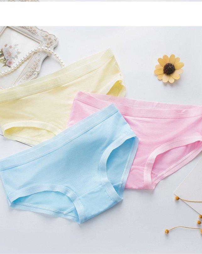Combo 5 quần lót nữ cotton chất mát