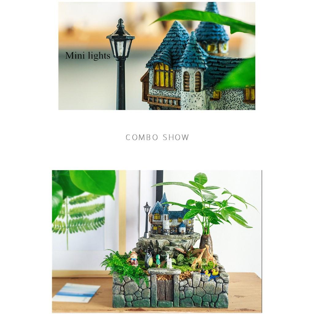 Chậu composite trồng cây mini bonsai sinh động lạ mắt