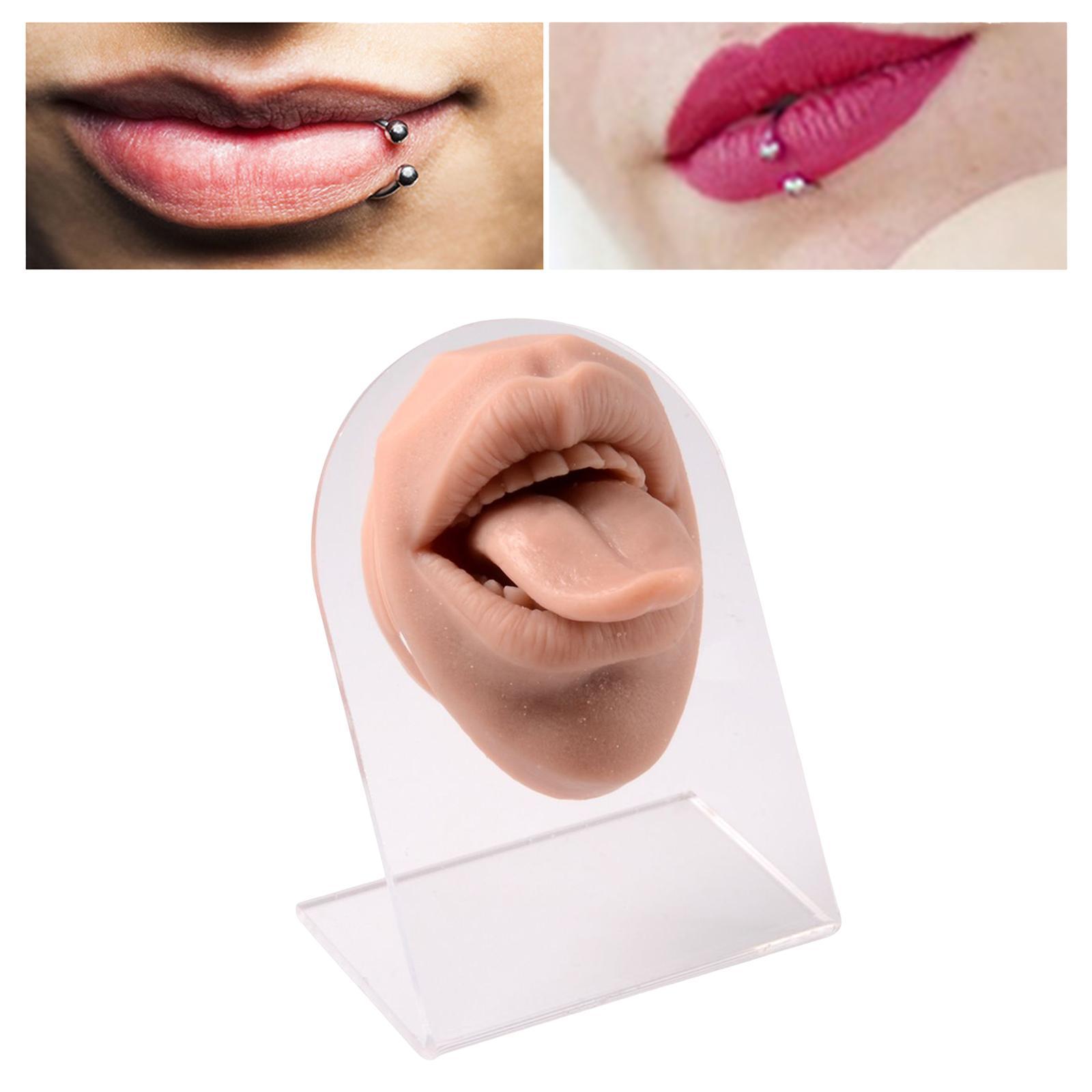 Silicone Mouth tongues Model Flexible Practice Tool Education Display