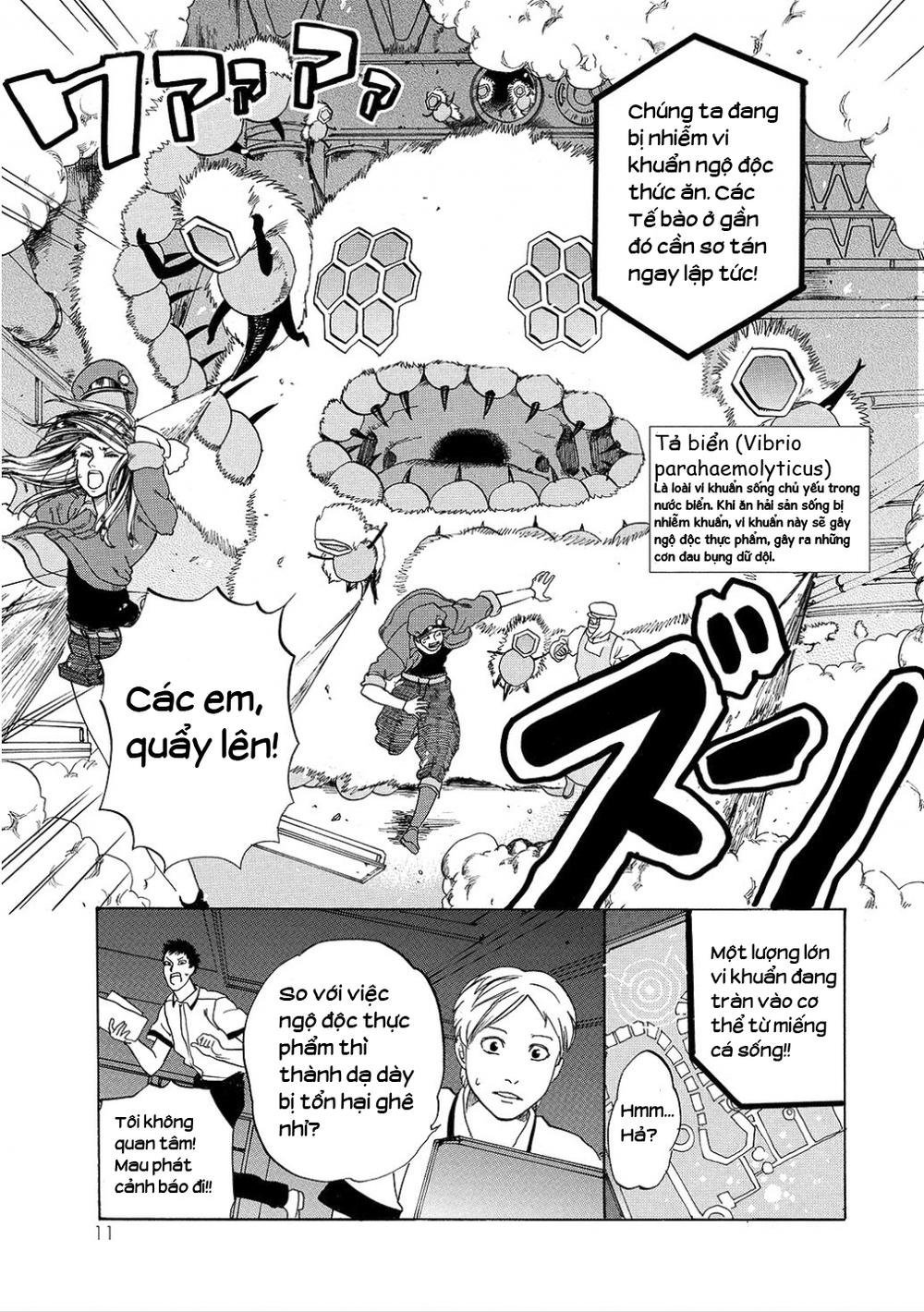 hataraku saibou! chapter 5 13