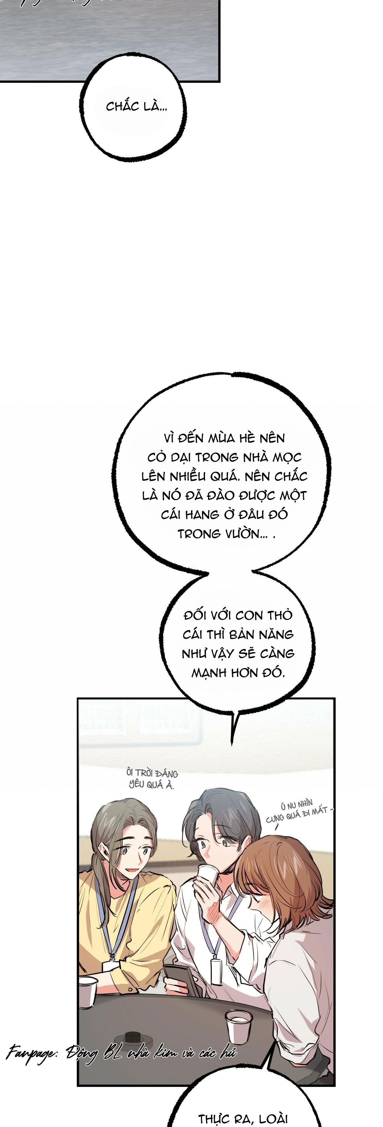 những chú thỏ của hapypy chapter 28 13