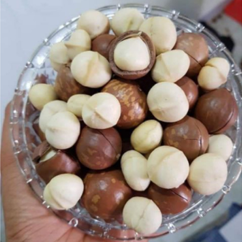 HẠT MẮC CA  (MACADAMIA) SIÊU SẠCH XẤY LẠNH NỨT VỎ GIỮ TRỌN VẸN DINH DƯỠNG TRONG TỪNG HẠT (TẶNG KÈM ĐỒ KHUI) 500G