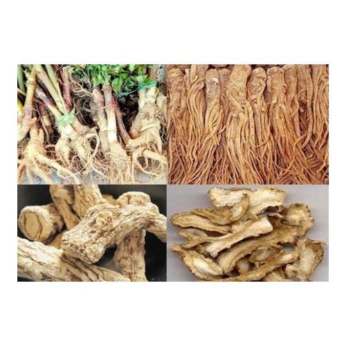 1 BỊCH SÂM ĐƯƠNG QUY KHÔ