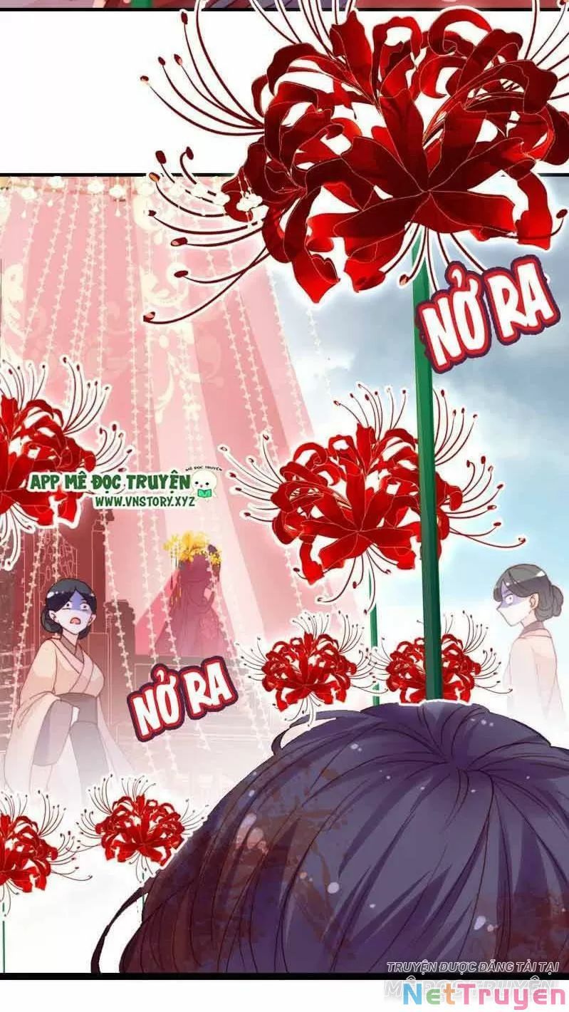 lại bị bệnh chiều chuộng quấn lấy chapter 1 46