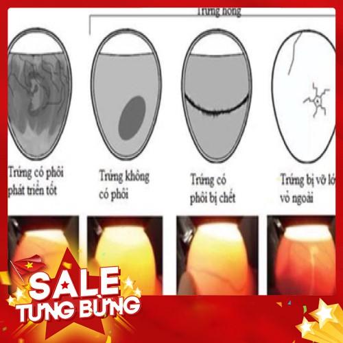 Máy Ấp Trứng Ánh Dương+Đèn Pin Soi Trứng+ Gói Úm Cho Gà Con