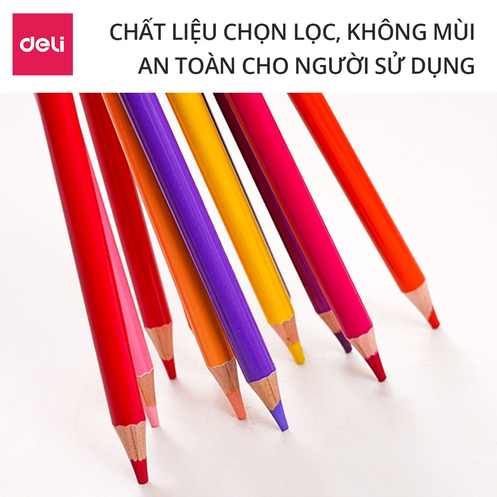 Bút chì màu gốc dầu cao cấp Deli - gỗ tự nhiên - 24 / 36 / 48 / 72 Màu - 6565 / 6566 / 6567 / 6568