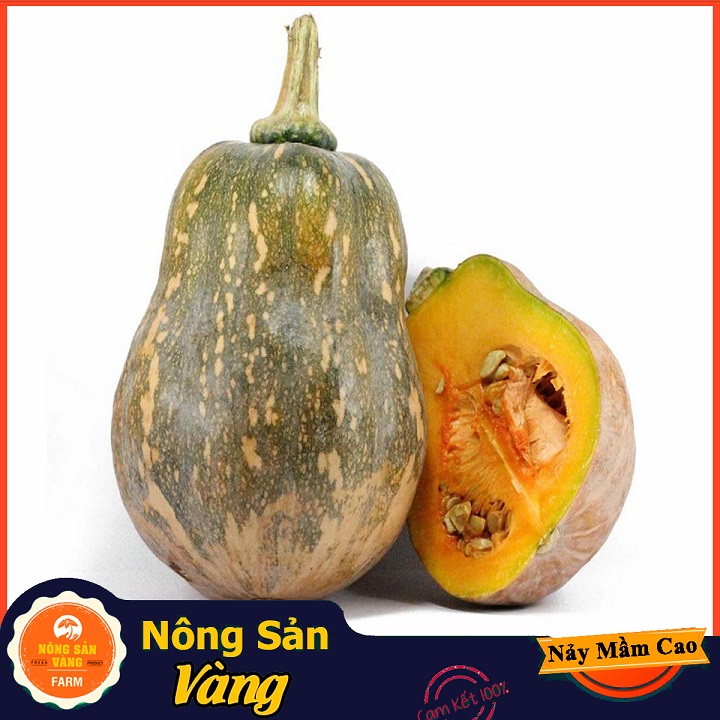 Hạt giống Bí Đỏ Hồ Lô - Nông Sản Vàng