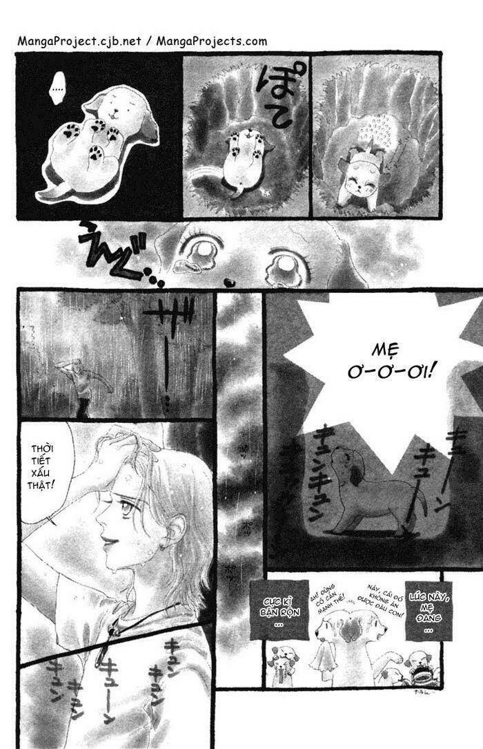 guru guru ponchan chapter 10 6