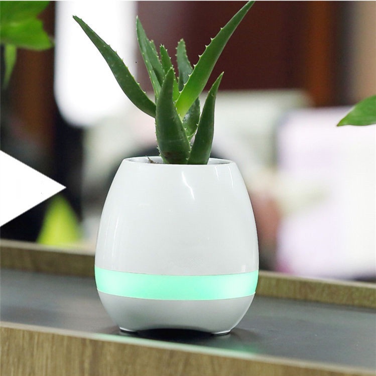 Loa Bluetooth Kiêm Chậu Cây Cảm Ứng Phát Nhạc Trên Lá
