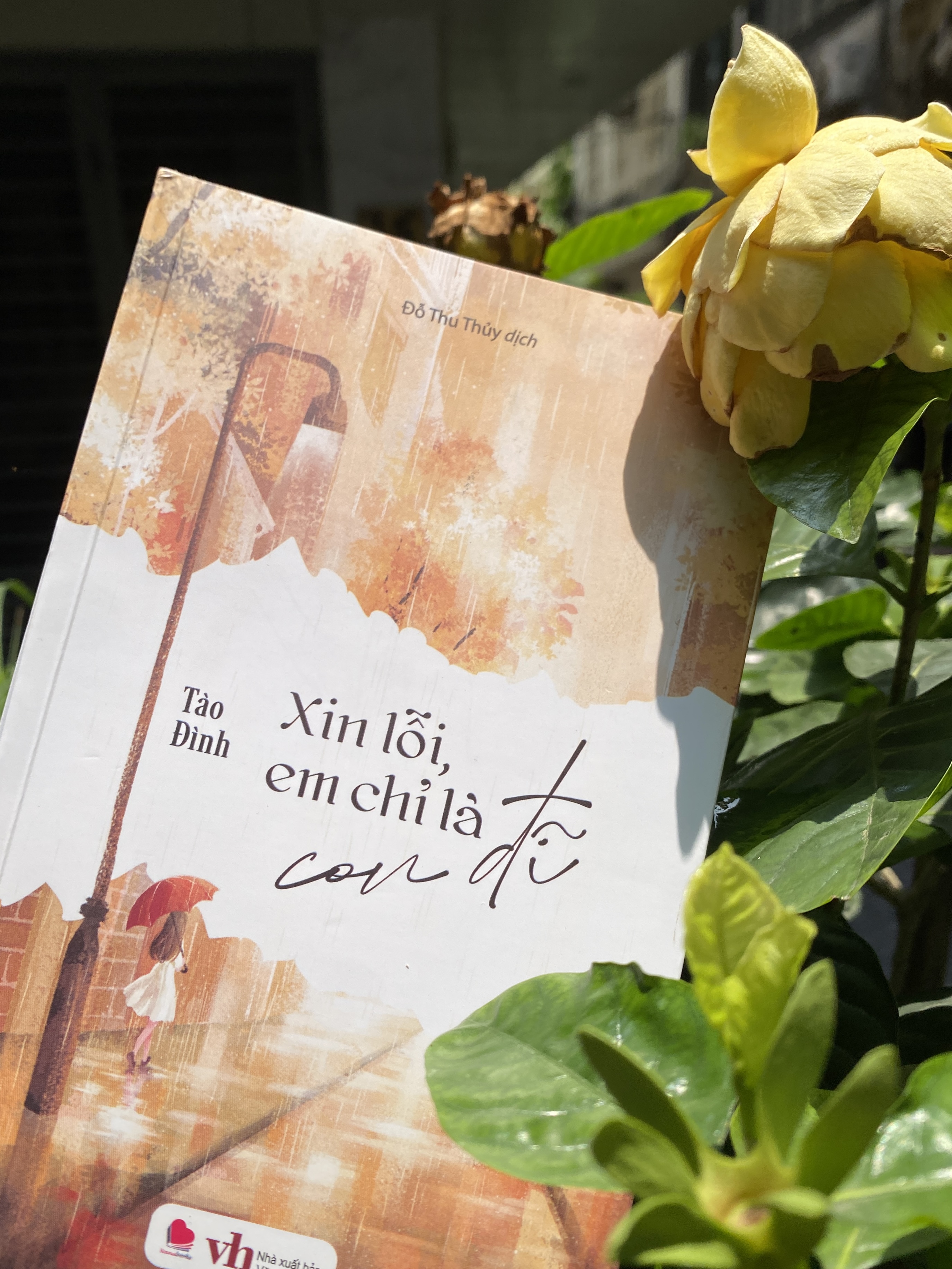 Sách - Xin lỗi em chỉ là CD - Tào Đình (tái bản 2024) - Bách việt
