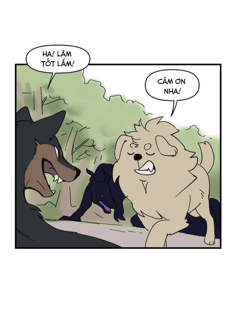 lumine - cội nguồn ánh sáng chapter 152 8