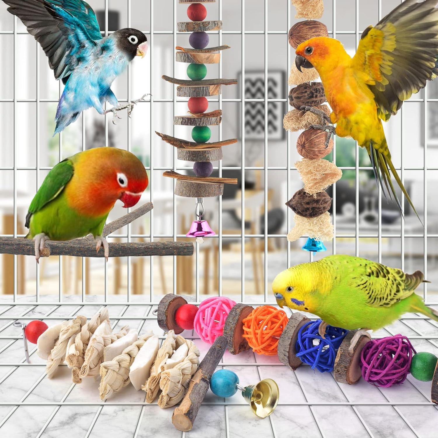 5 chiếc parakeet gỗ tự nhiên đồ chơi parrot treo g g chim cá rô cho chim nhỏ