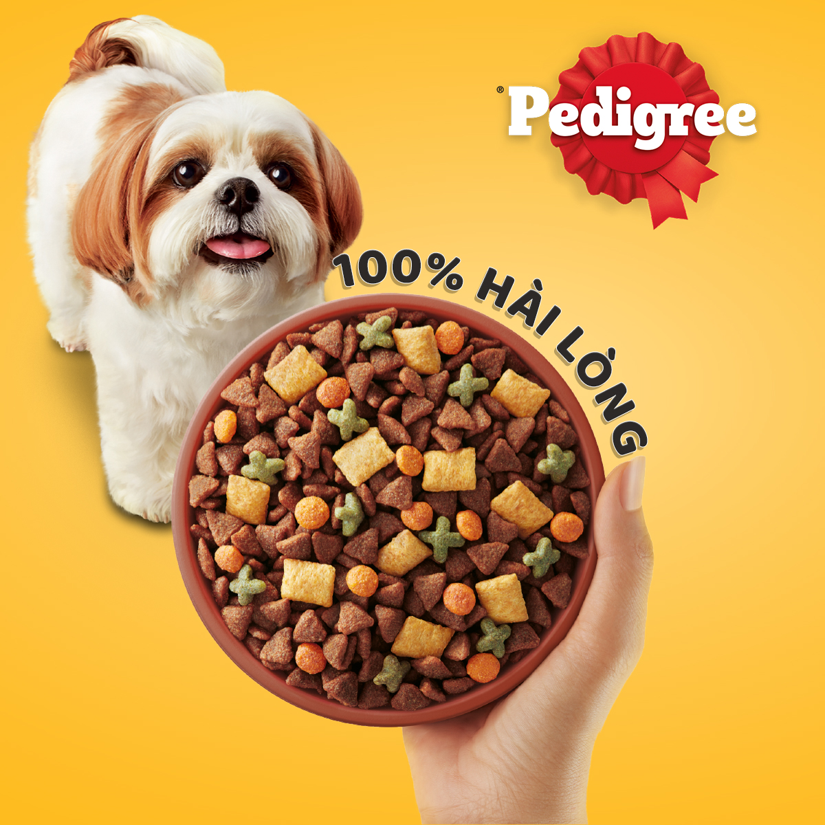 Thức ăn cho chó Mini dạng hạt Pedigree túi 400g