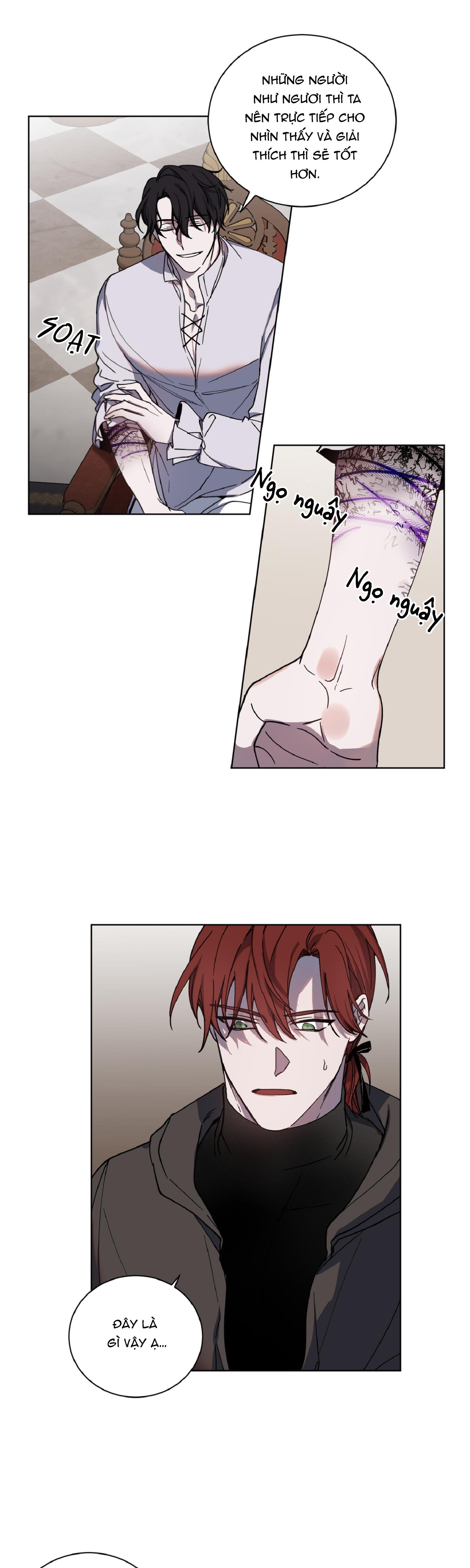 bá tước, yêu tôi đi chapter 2 14