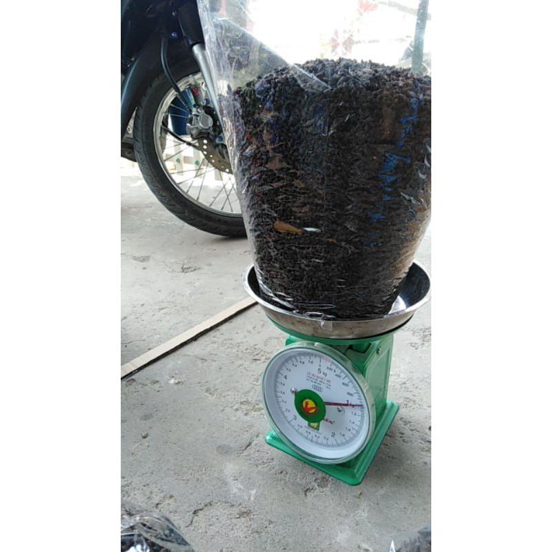 0,5kg phân dơi nguyên thủy dành cho cây chúc rất thích.