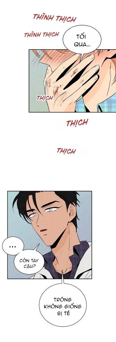 bona sort chapter 17 30