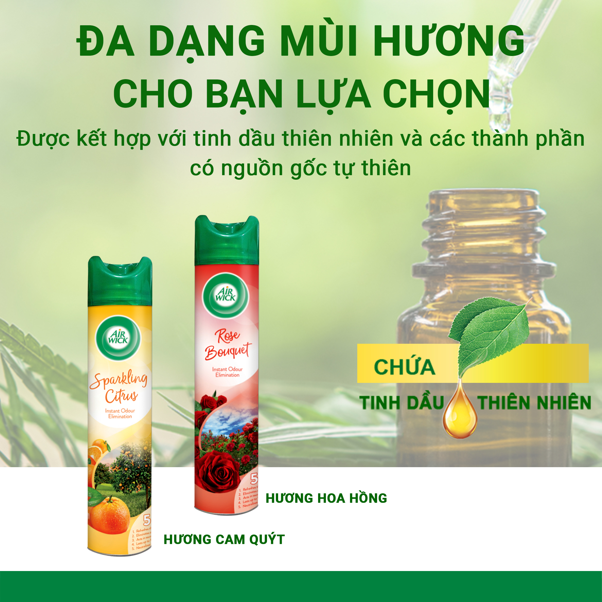 Combo 2 chai xịt thơm phòng, Air Wick, hương Cam Quýt &amp; Hoa Hồng, 300ml/chai