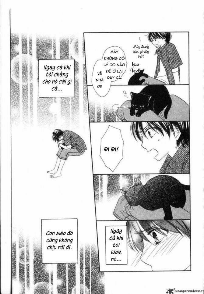 hoàng hậu hậu trường chapter 3 58