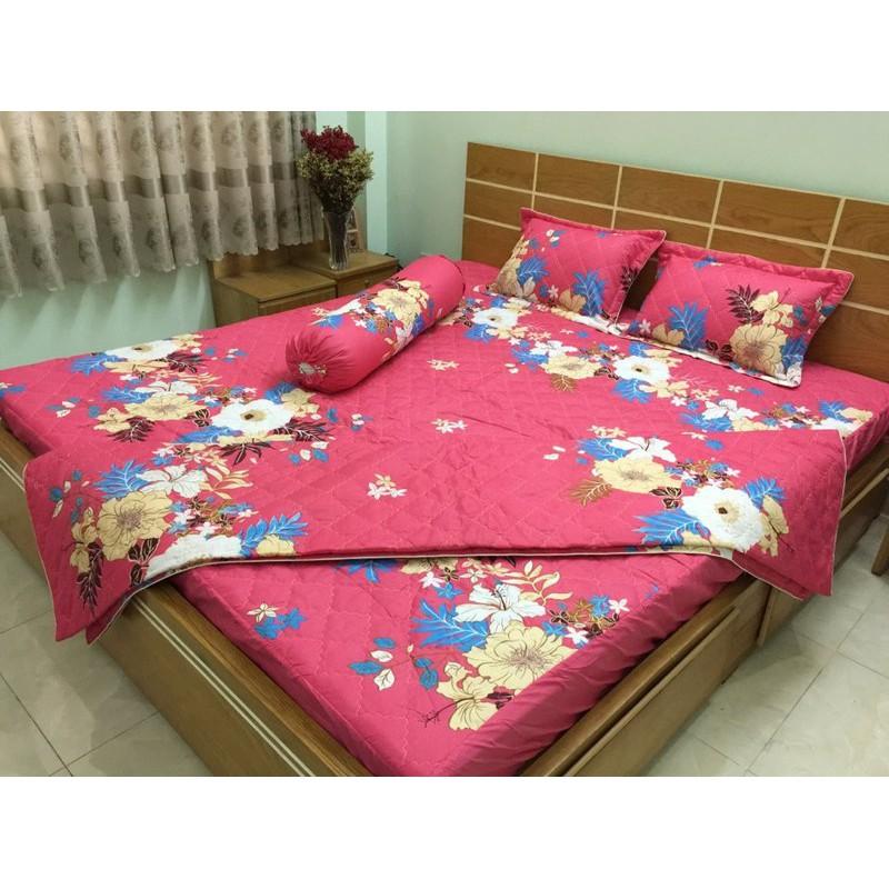 Bộ chăn ga gối Cotton Poly bọc thun và chần gòn 3 lớp nhiều mẫu 1m6x2mx20cm