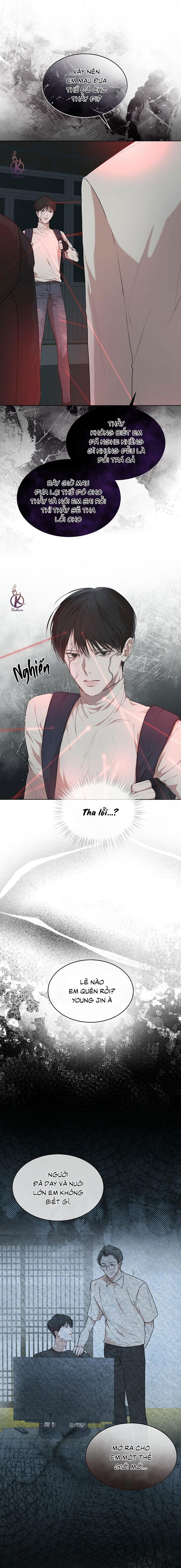 hình thái khởi sinh chapter 56 14