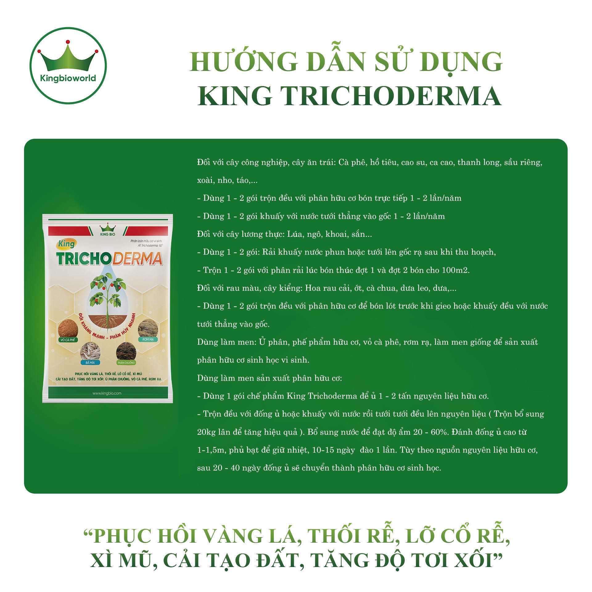 King Trichoderma chữa vàng lá thối rễ, lở cổ rễ, xì mủ, cải tạo đất, ủ phân hữu cơ sinh học