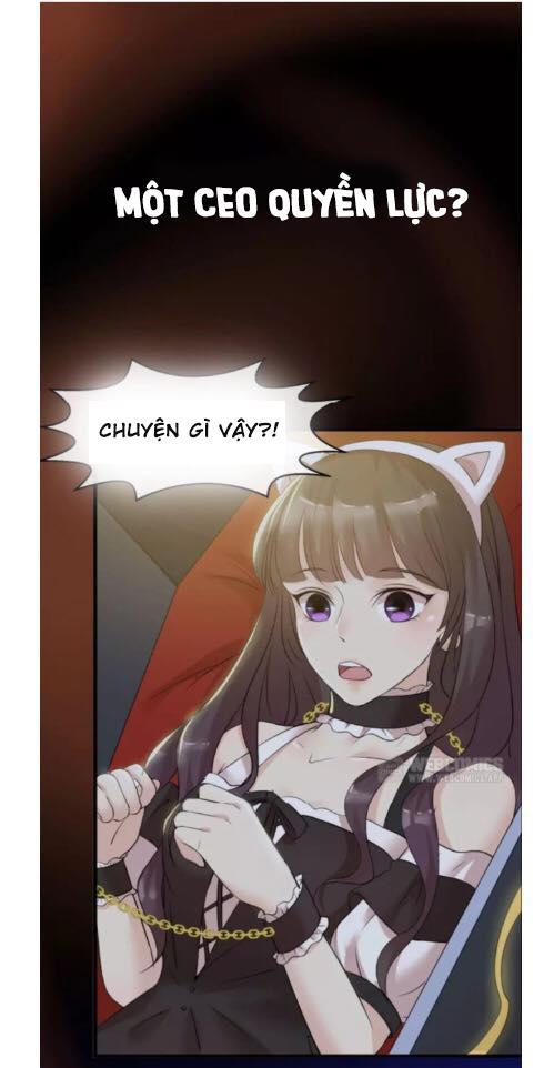 hoàng tử phi thân yêu của tôi chapter 1 1