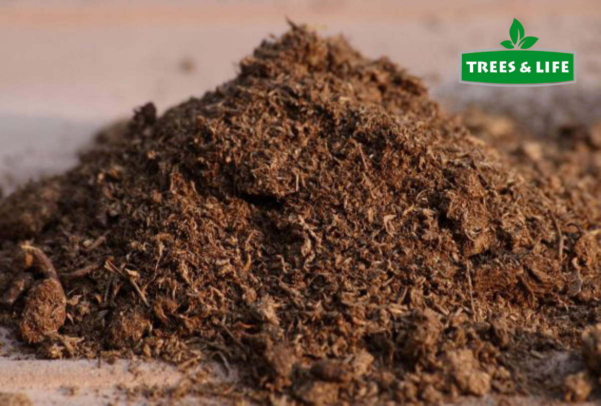 3dm3 Phân Bò Ủ Hoai Đã Xử Lý Vi Sinh. Tơi Xốp - Chứa Nhiều Men Vi Sinh Tốt Cho Cây Trồng - Không mùi hôi - Dùng Bón Lót Cho Rau, Hoa, Cây Ăn Quả.