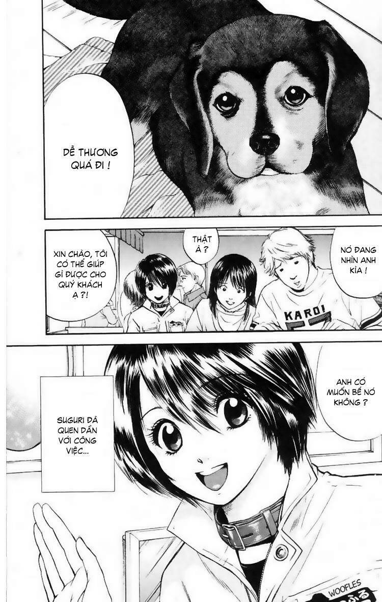 cô nàng yêu chó chapter 11 2