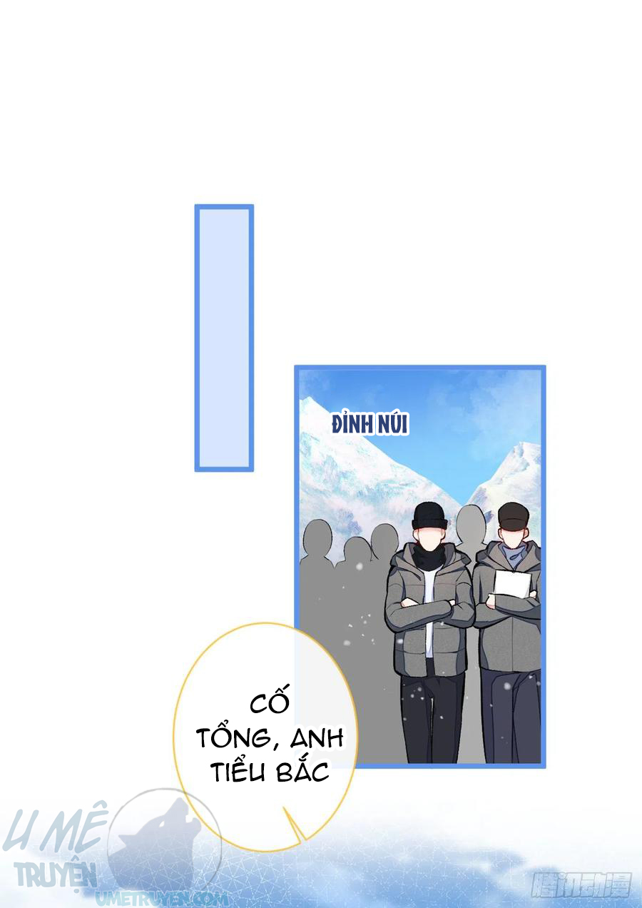 lại bị nam thần chọc trên hot search! chapter 39 1