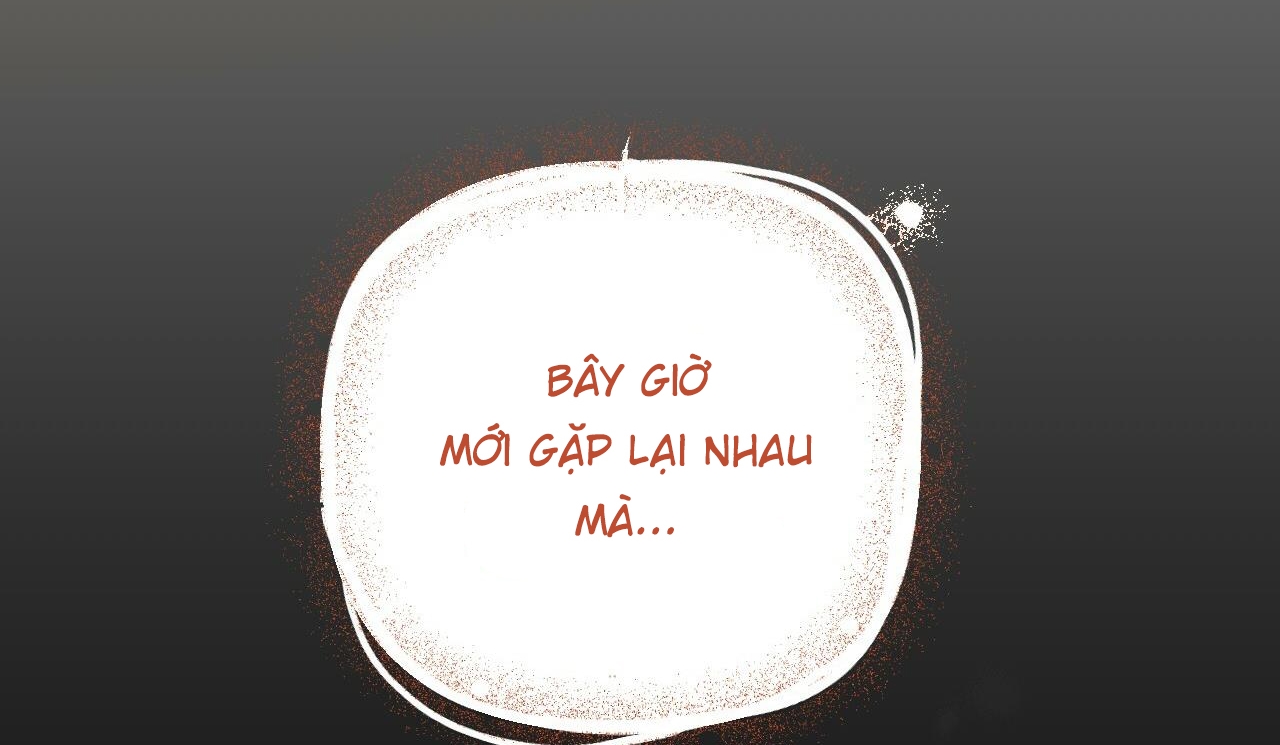 đàn thỏ của habibi chapter 50 249