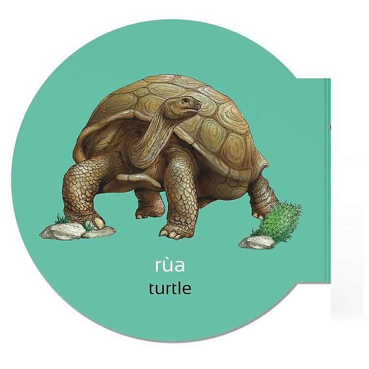 Sách Picture Dictionary - Từ điển bằng hình