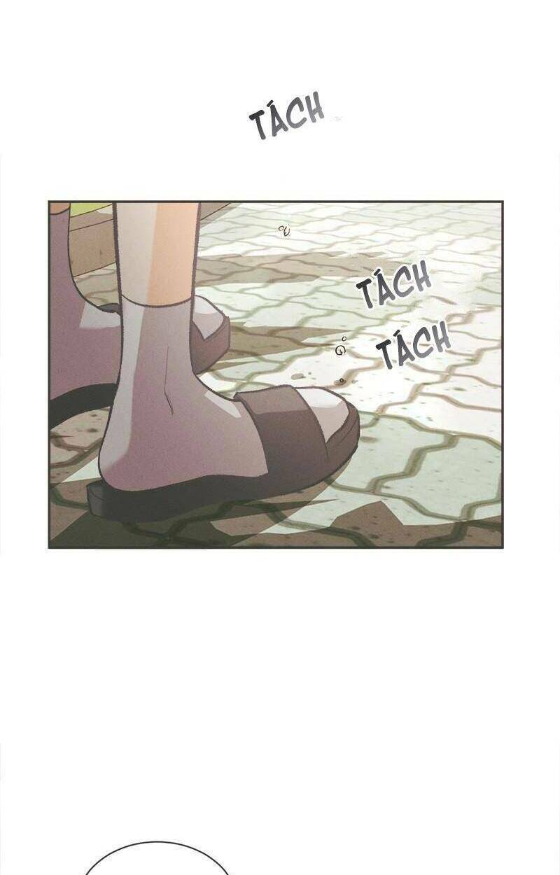 giấc mộng đêm hè chapter 6 50