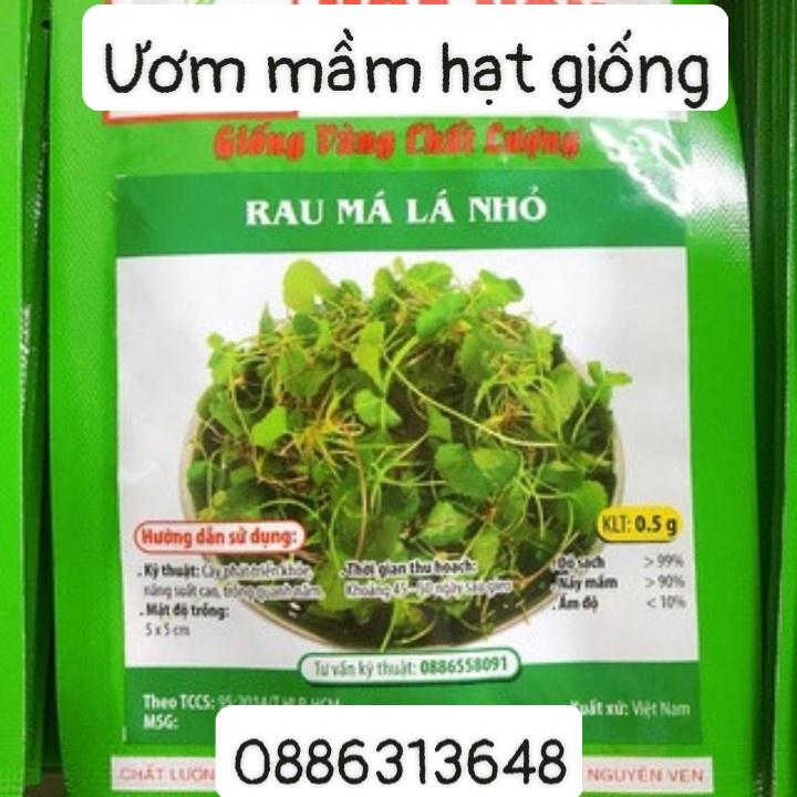 Giống rau má lá nhỏ (0.5g)