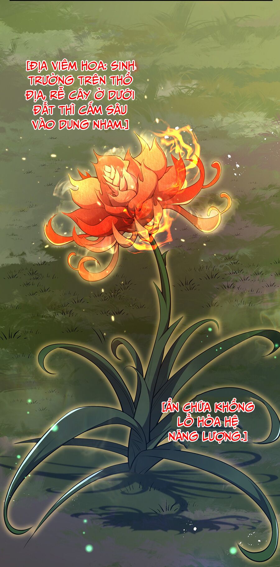 hệ thống mô phỏng linh sủng chapter 13 35