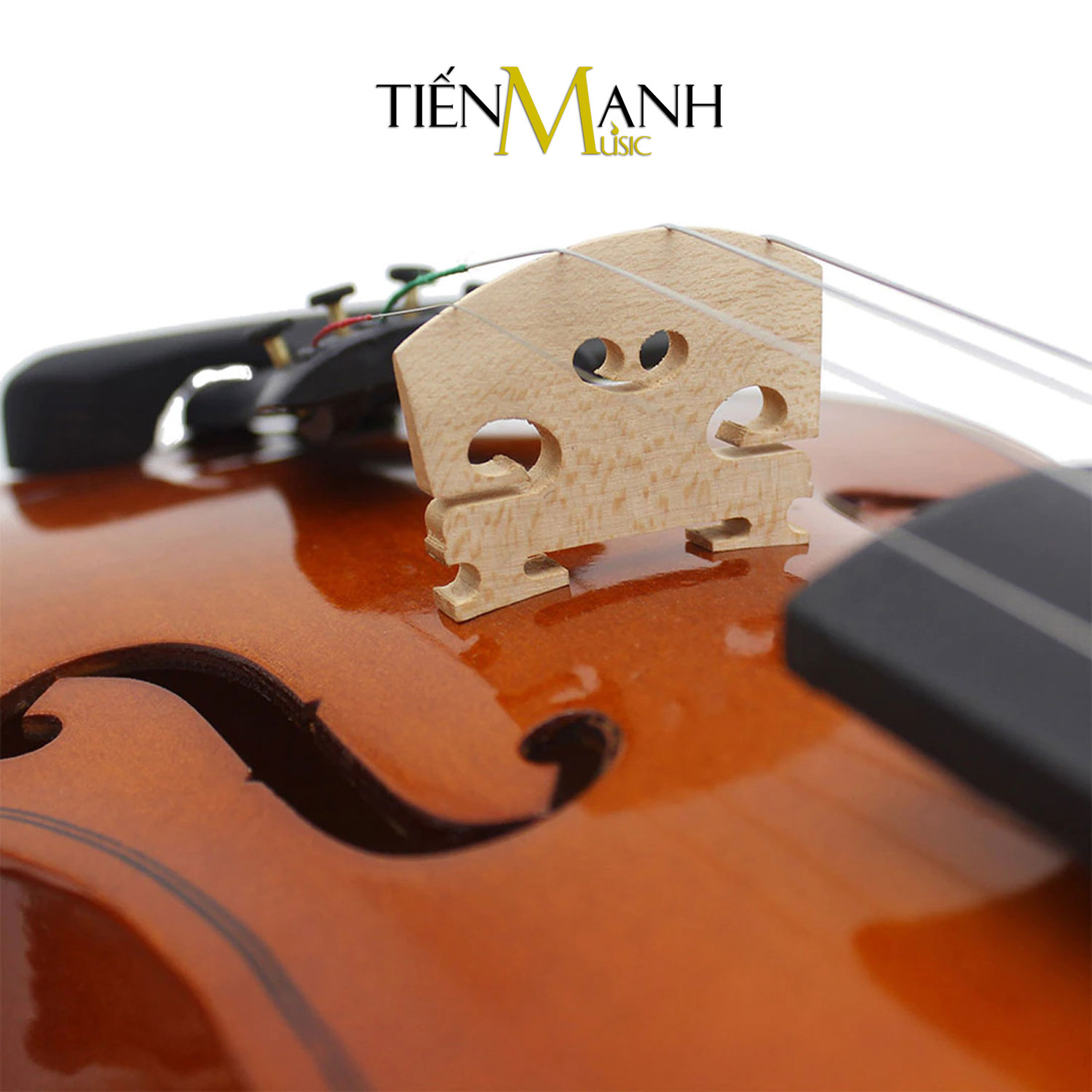 [Gỗ Tấm, Tặng Sticker] Đàn Violin Omebo RV205 Size 4/4, 3/4, 1/2, 1/4, 1/8, 1/10, 1/16 - Vĩ Cầm RV-205 Violon Hàng Chính Hãng - Kèm Móng Gẩy DreamMaker