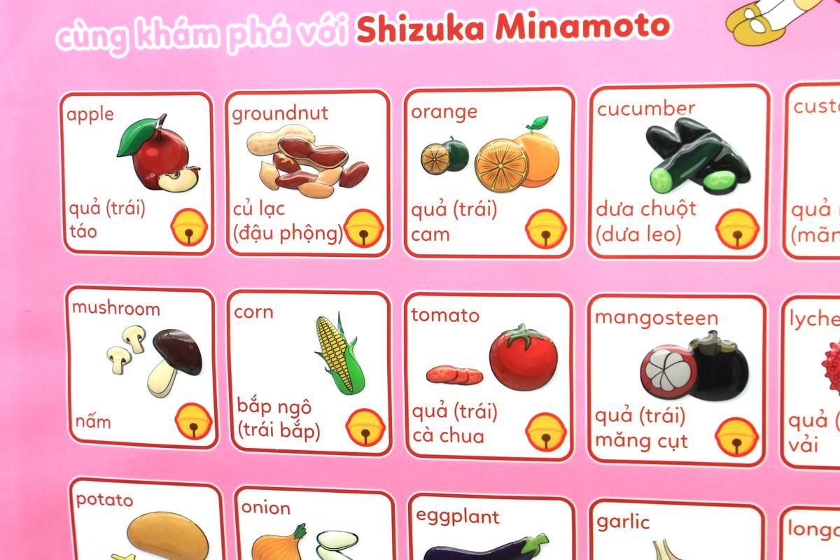 Bách Khoa Điện Tử Thông Minh - Thế Giới Thực Vật - Cùng Khám Phá Với Shizuka Minamoto - ToTy LT22