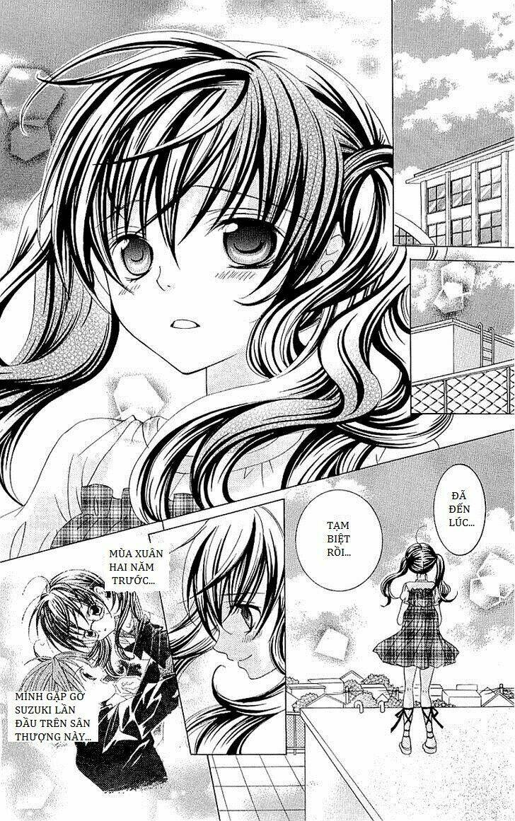 suki desu suzuki-kun!! chapter 33 4