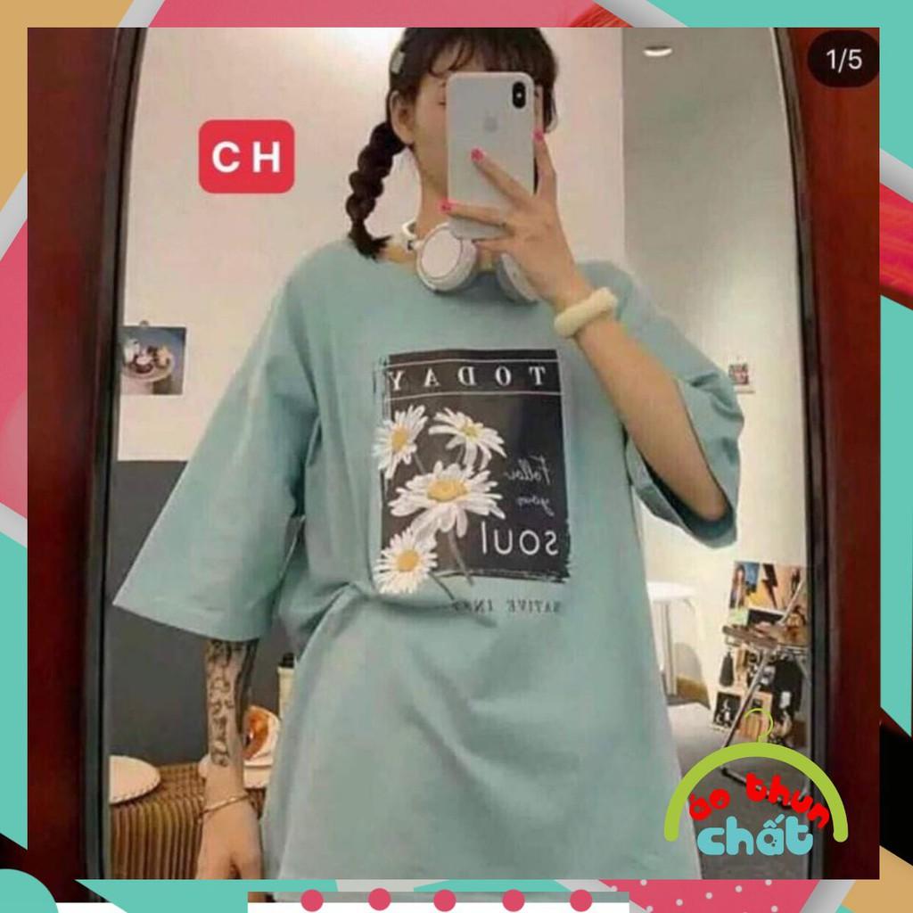 Áo phông tay lỡ chất cotton hoa cúc soul